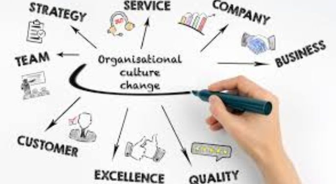 Culture Change